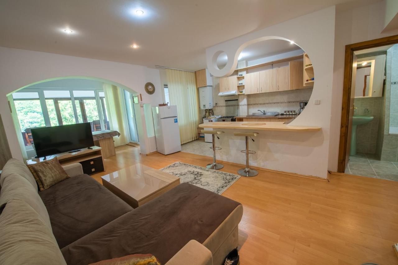 Monik Apartament ซินายา ภายนอก รูปภาพ