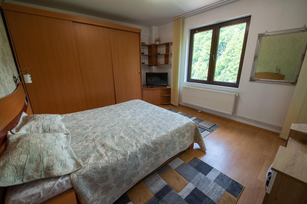Monik Apartament ซินายา ภายนอก รูปภาพ