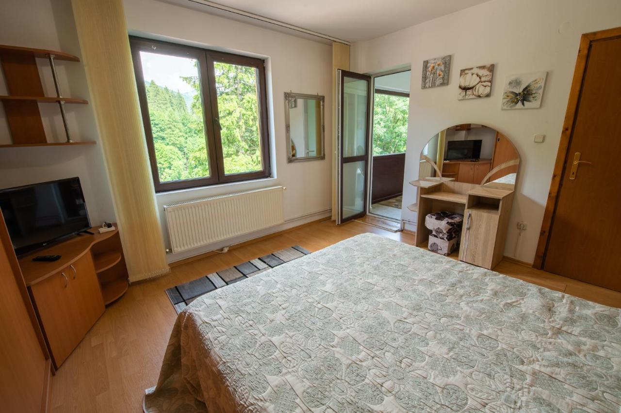 Monik Apartament ซินายา ภายนอก รูปภาพ