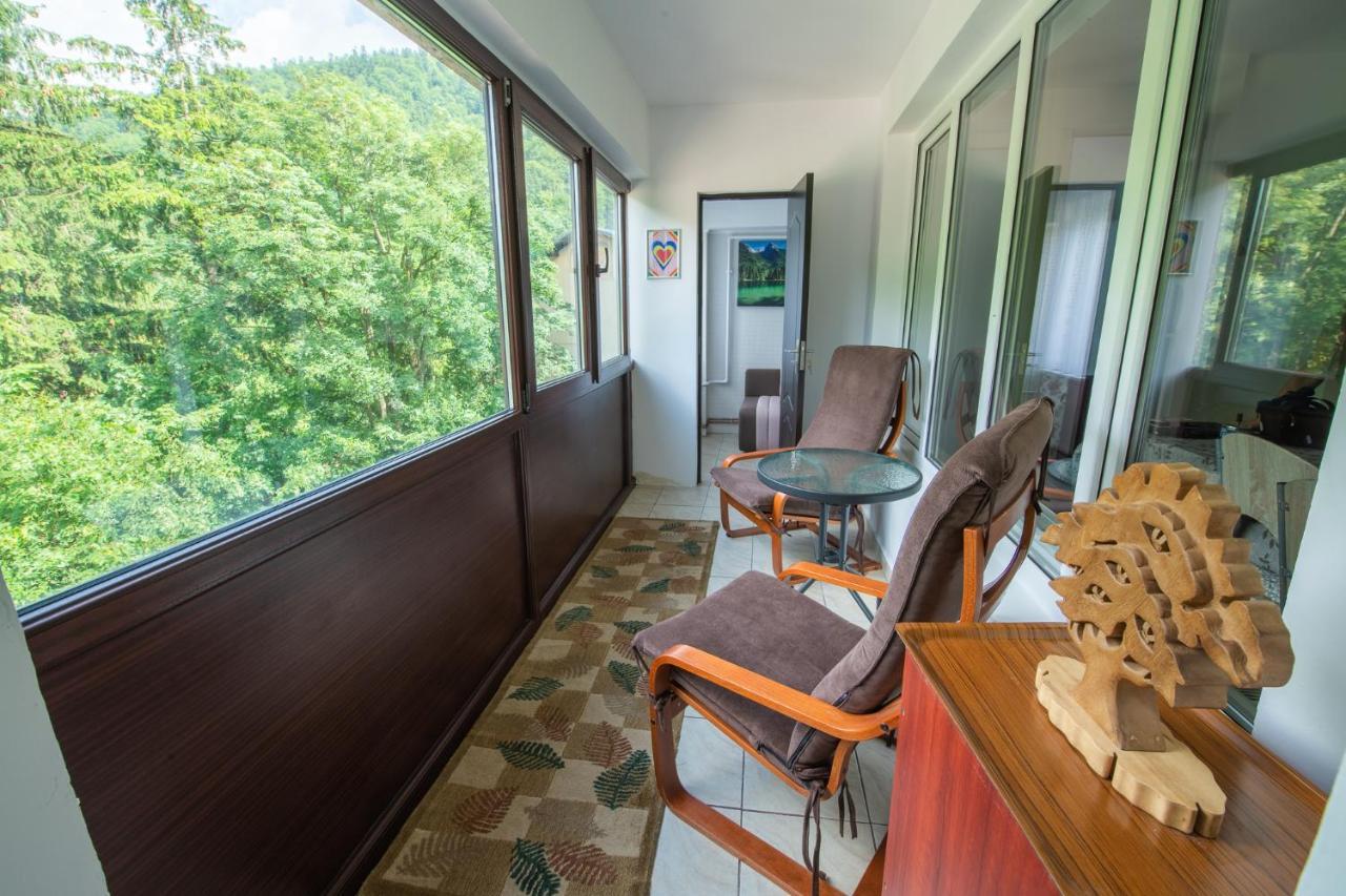 Monik Apartament ซินายา ภายนอก รูปภาพ