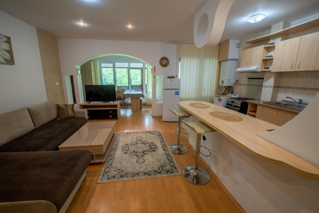 Monik Apartament ซินายา ภายนอก รูปภาพ