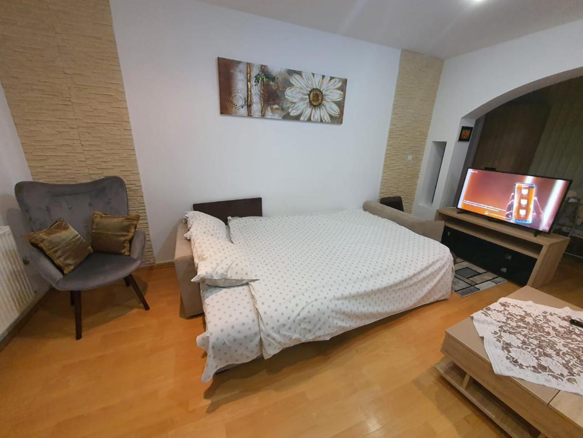 Monik Apartament ซินายา ภายนอก รูปภาพ