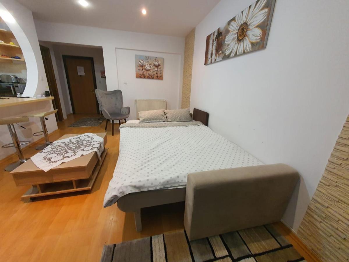 Monik Apartament ซินายา ภายนอก รูปภาพ