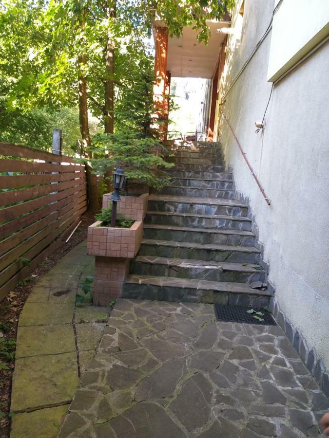 Monik Apartament ซินายา ภายนอก รูปภาพ